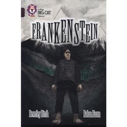 Frankenstein - Beverly Birch, editura Amberley Publishing Local