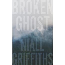 Broken Ghost - Niall Griffiths, editura Amberley Publishing Local
