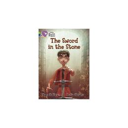 Sword in the Stone - Mary Hoffman, editura Amberley Publishing Local