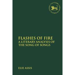 Flashes of Fire - Elie Assis, editura Lund Humphries Publishers Ltd