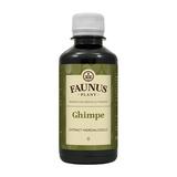 Tinctura Ghimpe Faunus Plant, 200 ml