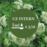 tinctura-branca-ursului-faunus-plant-500-ml-1750316064877-2.jpg