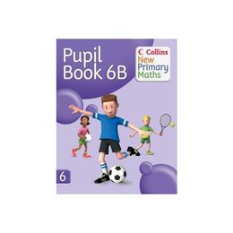 Pupil Book 6B - Peter Clarke, editura Amberley Publishing Local