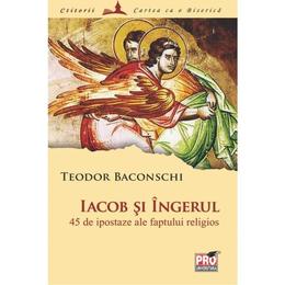 Iacob si ingerul - teodor baconschi, editura pro universitaria