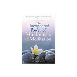 Unexpected Power of Mindfulness and Meditation - Ed Shapiro