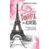 Pantoful pe acoperis - Vincent Delecroix, editura Rao