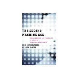 Second Machine Age, editura W W Norton &amp; Co