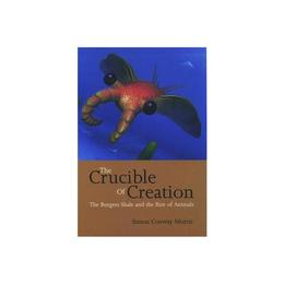 Crucible of Creation