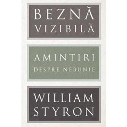 Bezna vizibila - william styron, editura grupul editorial art