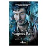 Cronicile lui Magnus Bane - Cassandra Clare, Sarah Rees Brennan, Maureen Johnson, editura Leda