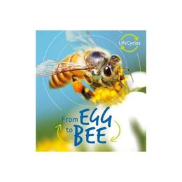Lifecycles: Egg to Bee - Camilla De La Bedoyere, editura Lund Humphries Publishers Ltd