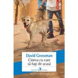 Cineva cu care sa fugi de acasa - David Grossman, editura Polirom