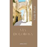 Via Dolorosa - Vasile Burlui, editura Apollonia