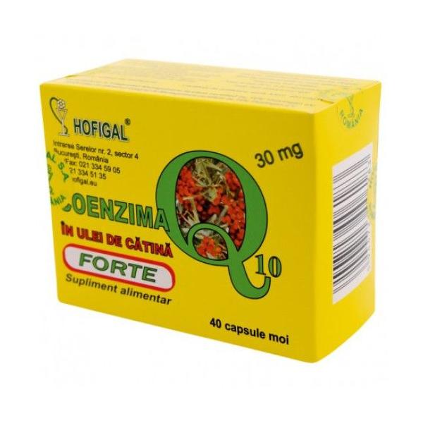 Coenzima Q10 in Ulei de Catina Forte Hofigal, 40 capsule