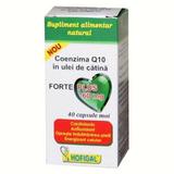 Coenzima Q10 in Ulei de Catina Forte Plus Hofigal, 40 capsule