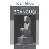 Despre Brancusi - Ioan Milea, editura Limes