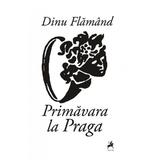 Primavara la Praga - Dinu Flamand, editura Tracus Arte