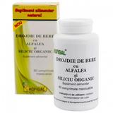 Drojdie Bere cu Alfalfa si Siliciu Organic Hofigal, 60 comprimate