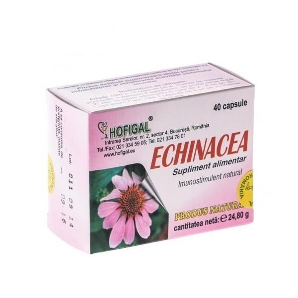 Echinaceea Hofigal, 40 capsule