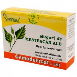 Gemoderivat mesteacan alb hofigal, 30 monodoze