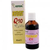 Hofident Q10 - Hofigal, 50 ml