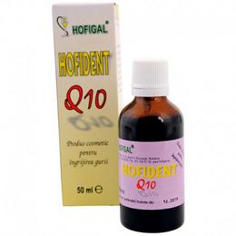 Hofident q10 hofigal, 50ml