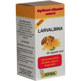 Larvalbina Hofigal, 40 capsule