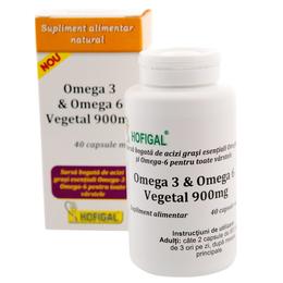 Omega 3 si omega 6 vegetal hofigal 900 mg, 40 capsule