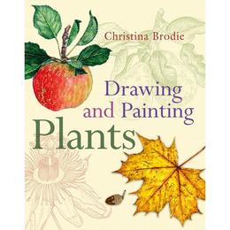 Drawing and Painting Plants - Christina Brodie, editura Bloomsbury Academic T&t Clark