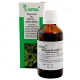 Tinctura Menta Hofigal, 50ml