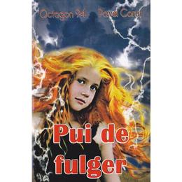 Pui de fulger - pavel corut, editura corut pavel