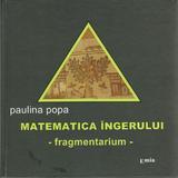 Matematica ingerului - Paulina Popa, editura Emia