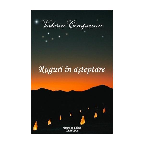 Ruguri in asteptare - Valeriu Cimpeanu, editura Grupul De Edituri Tribuna