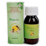 Propolis Institutul Apicol, 30 capsule