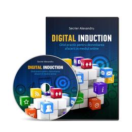 Digital induction – creare site modern