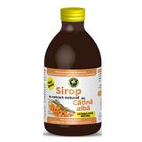 Sirop de Catina-Alba fara Zahar Hypericum, 250ml