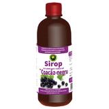 Sirop de Coacaz-Negru Hypericum, 500ml