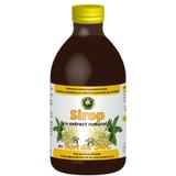 Sirop din Flori de Soc Hypericum, 250ml