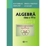 Algebra - Clasa 6 - Excelenta - Ioan Codreanu, Mihaela Cojocnean, editura Gil