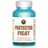 Protector Ficat Hypericum, 60 capsule