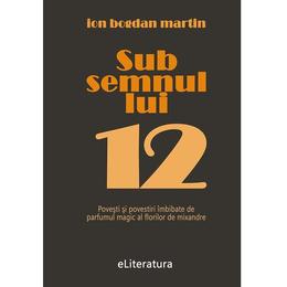 Sub semnul lui 12 - Ion Bogdan Martin, editura Eliteratura