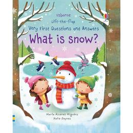 Carte despre zapada what is snow editura usborne