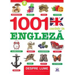 1001 cuvinte in engleza despre lume, editura litera