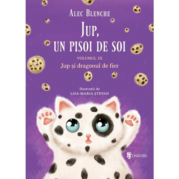 Jup, un pisoi de soi vol.3: jup si dragonul de fier - alec blenche, doina zavadschi, editura univers