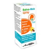 Salvo-Meb Spray Mebra, 30ml