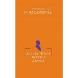 Elevul Dima dintr-a saptea  - Mihail Drumes, editura Grupul Editorial Art