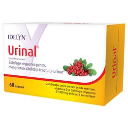 Urinal idelyn walmark, 60 capsule (blister)