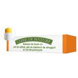 Balsam de Buze cu Ulei de Catina Manicos, 4.8g