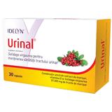 Urinal Idelyn Walmark, 30 capsule (blister)