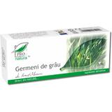 Germeni de Grau Pro Natura Medica, 30 capsule